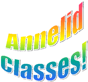 Annelid
Classes!