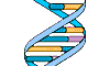 BIO